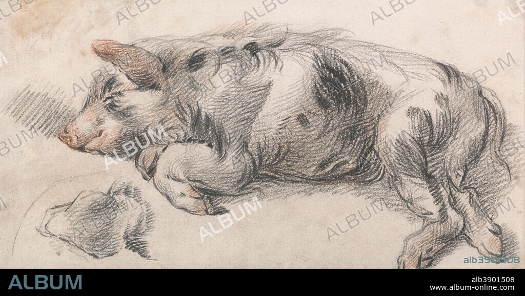 JAMES WARD. Sleeping Pig. Drawing. Black and red chalk and graphite on medium, smooth, cream wove paper. Height: 140 mm (5.51 in); Width: 260 mm (10.23 in).