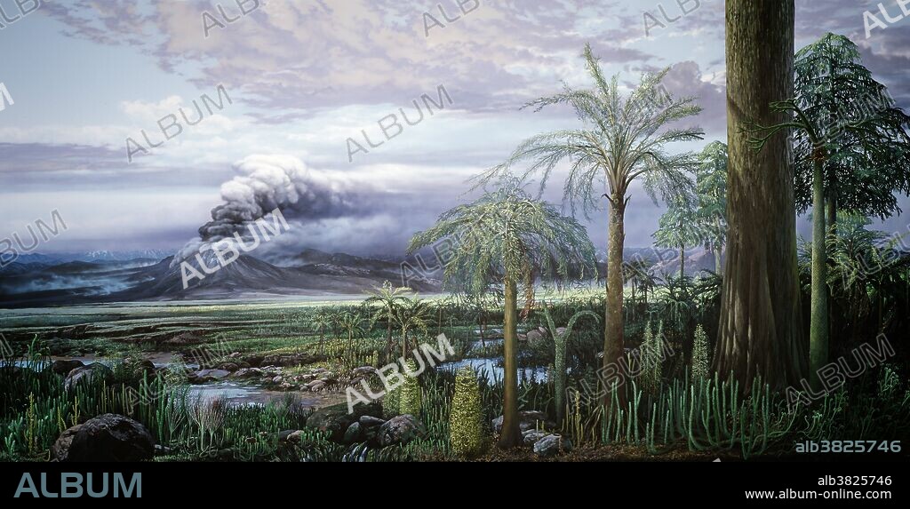 Illustration of a Devonian Landscape. (Middle Devonian on left to Upper Devonian right) 408 - 374 million years ago. Trees from left to right are Aneurophyton (center of illustration), Protolepidodendron (small with two branches), Pseudosporochnus (larger palm-like tree), Archaeopteris (trunk), Protolepidendropsis (tree with few branches), and Archaeopteris (cedar-like tree). Groundcover from left to right includes Drepanophycus, Sawdonia, Chaleuria, Hyenia, Pertica, Leclercqia, and Serrulacaulis.