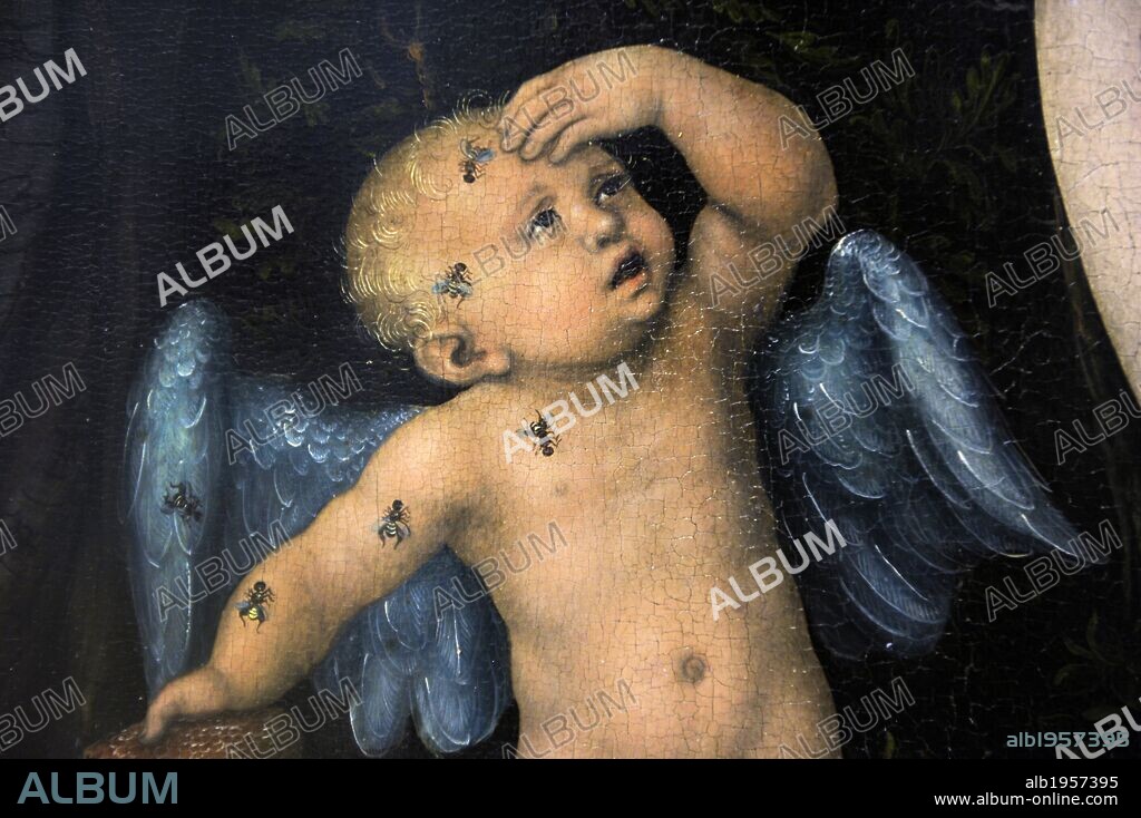Lucas Cranach the Elder (1472-1553). German painter. Venus with Cupid stealing honey, 1530. Cupid's detail. National Museum of Art. Copenhagen. Denmark.