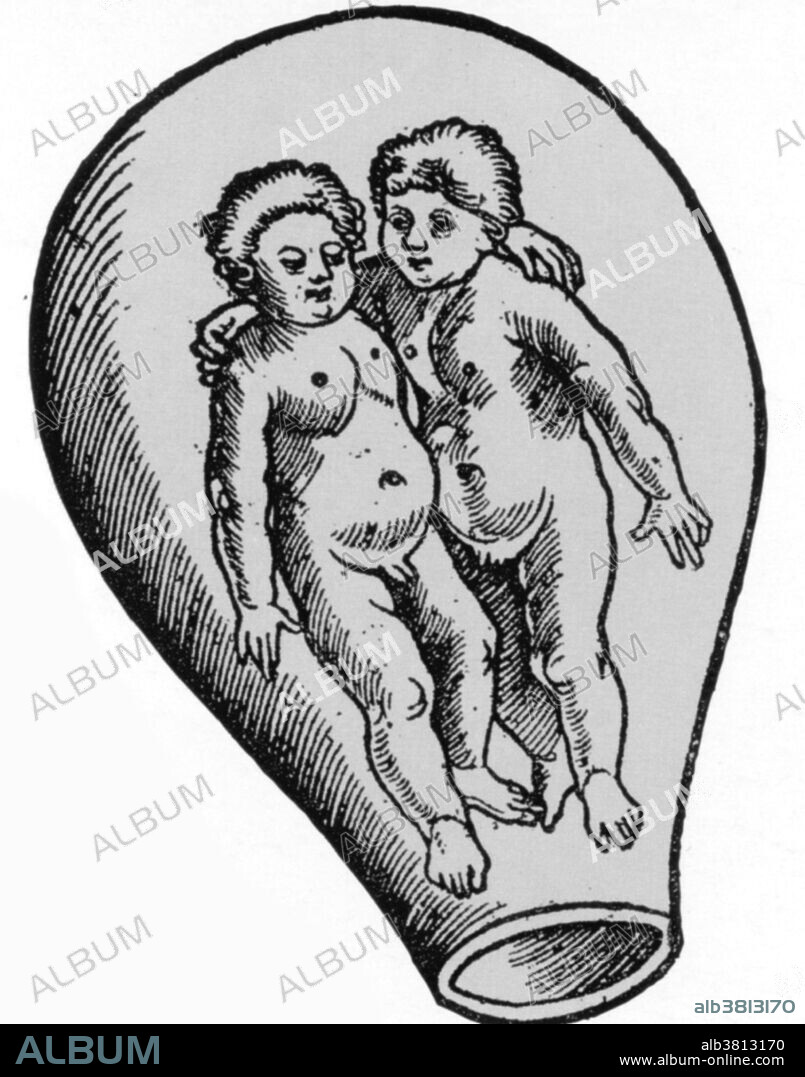 One of the most important issues in the premodern biology of the 18th century was the struggle between preformationist and epigenetic theories of development. The preformationist s believed that living things develop after conception from miniature versions of the adult, fully formed organisms that simply enlarge in size from their tiny origin in germ (egg) or sperm. They assumed that the germs of all living beings were preformed and had been since the Creation. The Deistic theory of preformism assumed that God had determined the organizational forms of all organisms at the creation of the world. After that, the mechanical laws of matter did the rest. Thus preformism could be a mechanistic theory in which the divine watchmaker conceives a plan of the object which guides its production. According to Descartes, "if one knew in detail all the parts of the seed of a particular species of animal, for instance, Man, one could deduce from that alone for reasons entirely mathematical and certain, the whole figure and conformation of each of its parts." For preformationists, the egg, or rather the germ, supposedly housed a homunculus, a tiny version of the adult, each part of which expanded into the corresponding part of the adult.