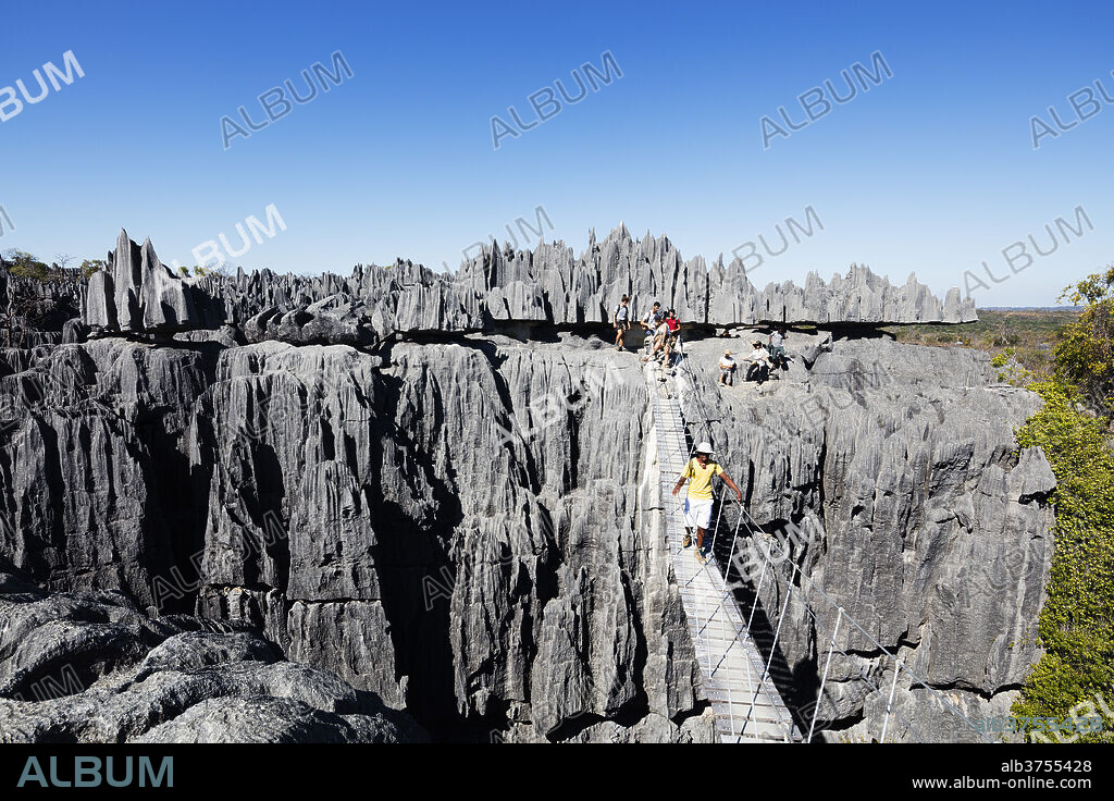 Tourist crossing a rope bride, Grand Tsingy, Tsingy du Bemaraha National Park, UNESCO World Heritage Site, western area, Madagascar, Africa.