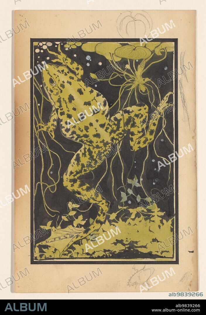 JULIE DE GRAAG. Frog in the water, 1887-1924.