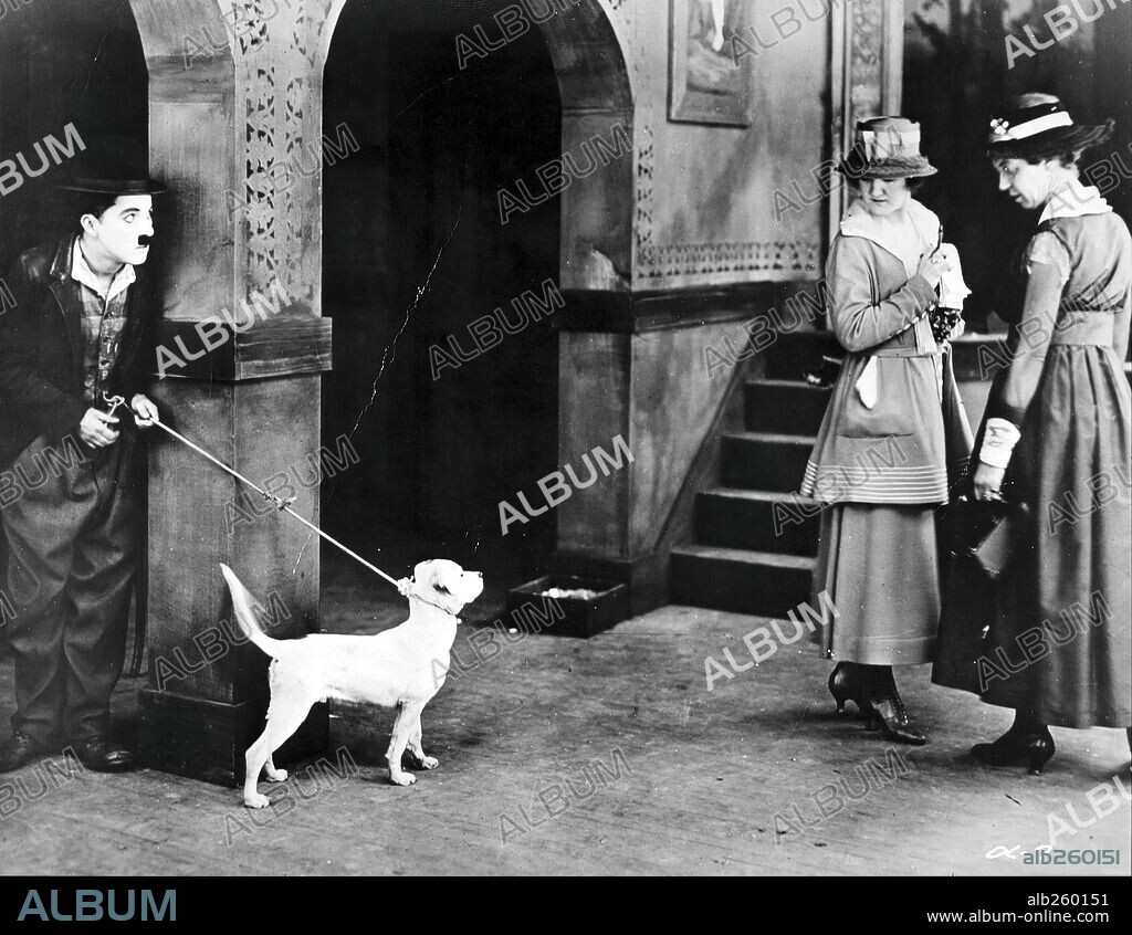 CHARLIE CHAPLIN dans UNE VIE DE CHIEN, 1918 (A DOG'S LIFE), réalisé par CHARLES CHAPLIN. Copyright FIRST NATIONAL.