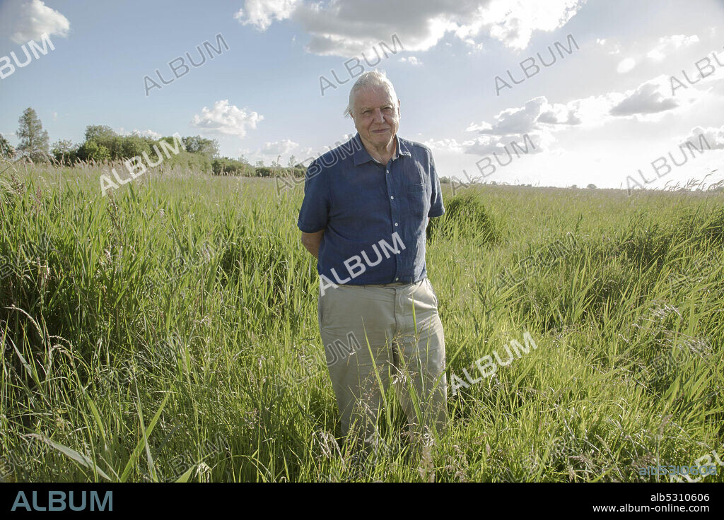 DAVID ATTENBOROUGH in ATTENBOROUGH'S JOURNEY, 2010. Copyright ATLANTIC PRODUCTIONS.