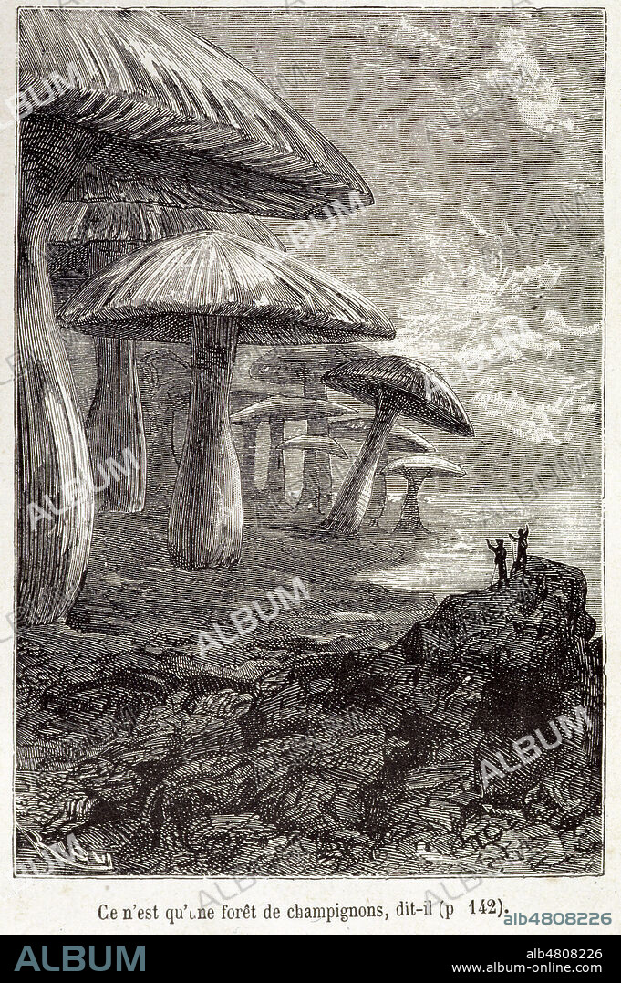 ' Ce n'est qu'une foret de champignons...' gravure du Voyage au centre de la terre de Jules VERNE (1828-1905), Editions Hetzel. Credit : Collection KHARBINE-TAPABOR.