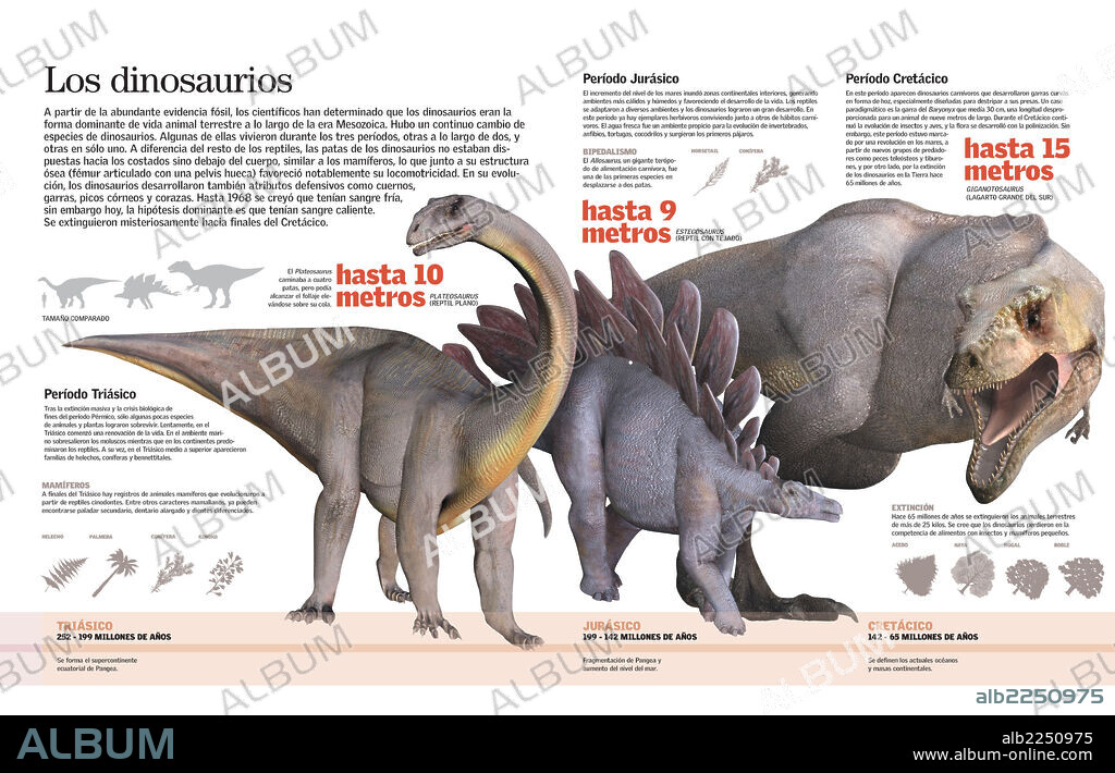 Los dinosaurios. Infografía de las especies de dinosaurios que dominaron la Tierra durante el Triásico, Jurásico y Cretácico.