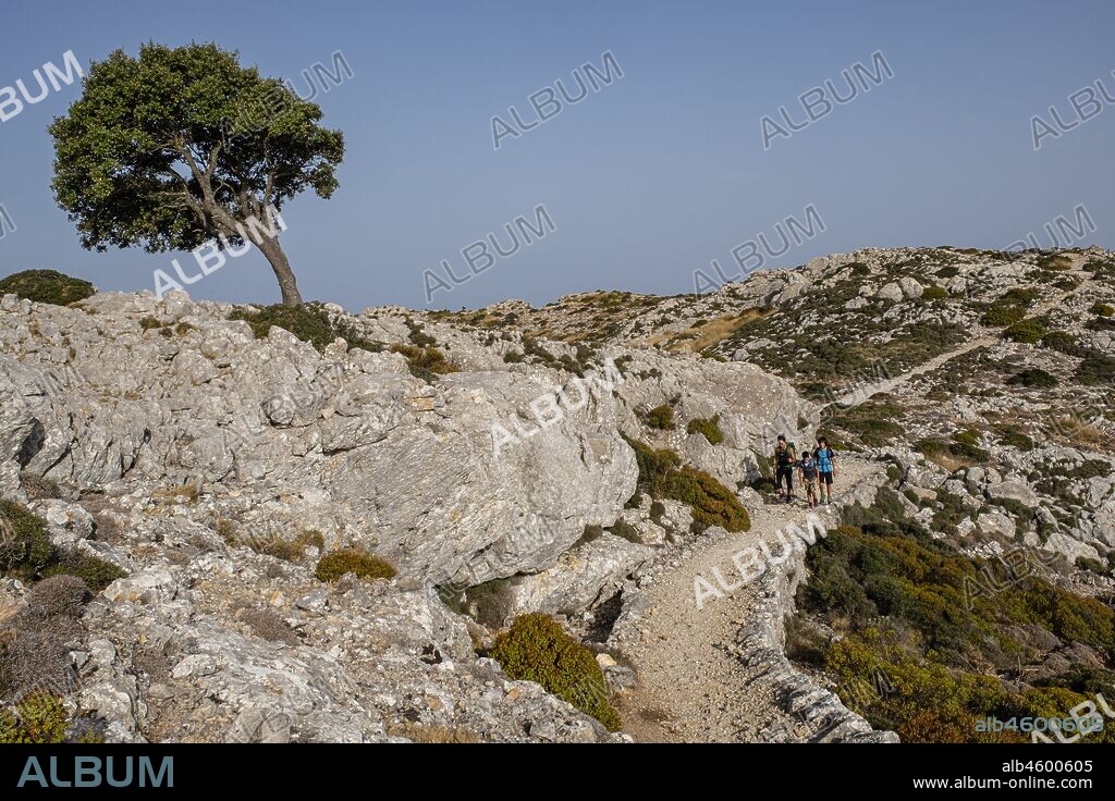 camino del Archiduque, - Camí de S'Arxiduc -, Valldemossa, Mallorca, Balearic Islands, Spain.