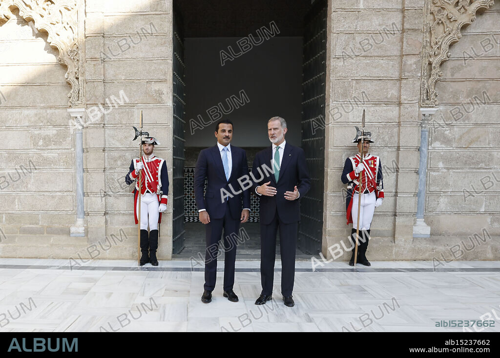 King Felipe VI of Spain, Tamim Bin Hamad Al Thani attends at Reales Alcazares on June 29, 2025 in Sevill, Spain.