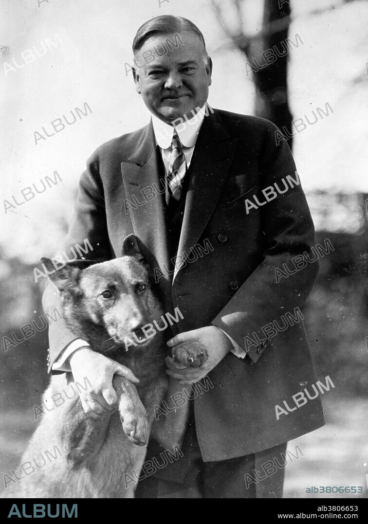 Entitled: "President Hoover with King Tut." Photographed by the National Photo Company, 1929. President Hoover and his wife Lou were genuine dog lovers and at one time the White House was home to 9 dogs. King Tut a Belgian Shepherd that was given to Hoover during an assignment in Belgium several years before he was elected. This photo of Hoover and King Tut was mailed to thousands of voters before the election and it is thought to have helped him get elected. Unfortunately, the instinct to protect the President at all times was too much for the loyal King Tut. Eventually this took its toll on his health, and he stopped eating. Despite being sent away to a more relaxing environment, King Tut never recovered and died shortly after. He became known as the dog that worried himself to death. King Tut was so popular that the President decided not to release the news of his passing. He felt the country had enough to worry about with the failing economy, and the people would feel even more despondent at the death of their First Dog.