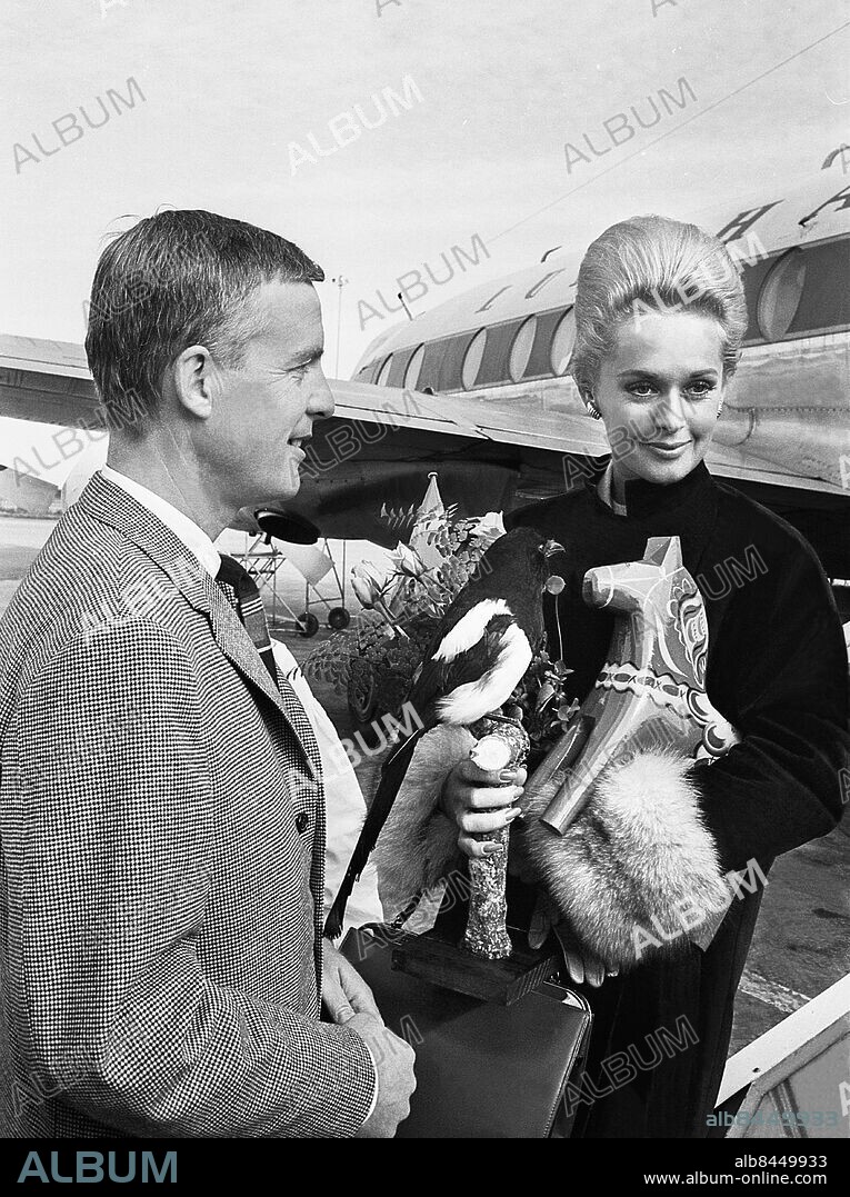 STOCKHOLM 1963-09-13. Amerikanska skådespelerskan Tippi Hedren besöker Sverige och möts på Arlanda av svenska skådespelaren Alf Kjellin som välkomnar med en uppstoppad skata och en dalahäst. Foto: Jan Collsiöö / TT Historical / Kod: 1902.