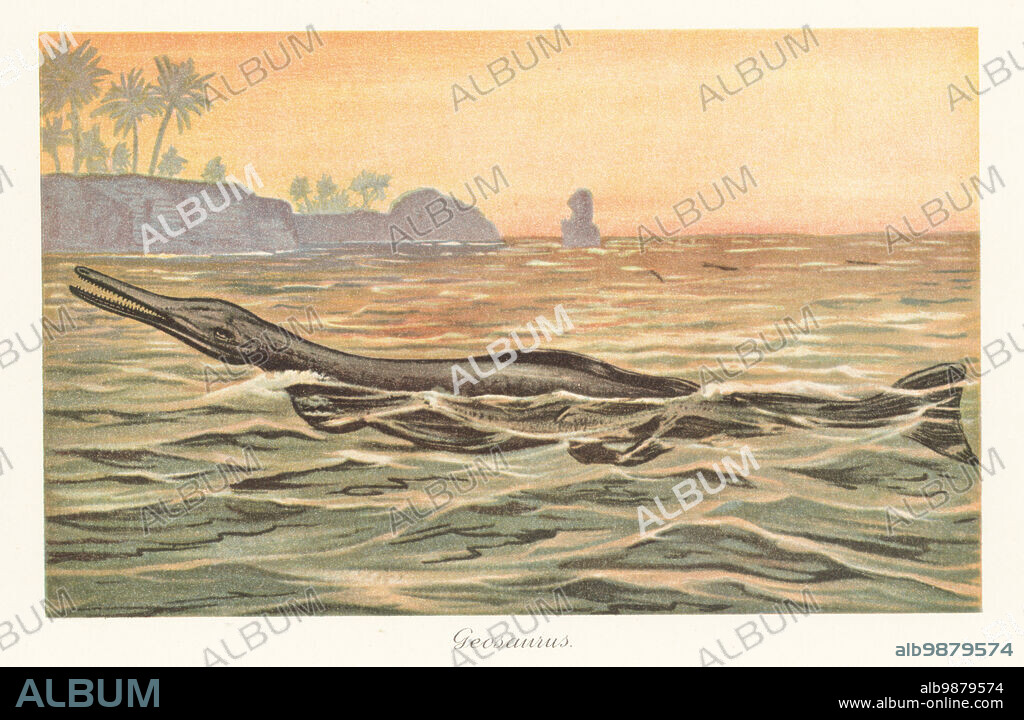 Reconstruction of a Geosaurus, extinct genus of marine crocodyliform of the Late Jurassic and Early Cretaceous. Geosaurus. Colour printed illustration by F. John from Wilhelm Bolsches Tiere der Urwelt (Animals of the Prehistoric World), Reichardt Cocoa company, Hamburg, 1908.