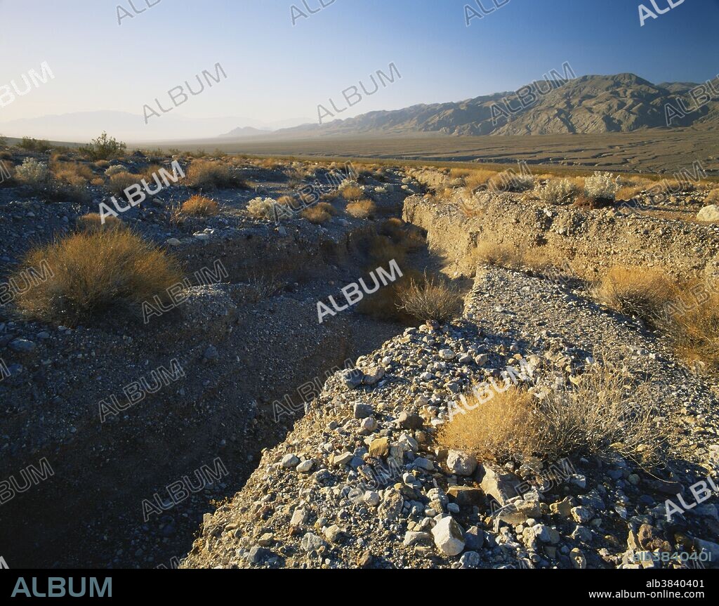Dry wash in Death Valley National Park, California, in January.