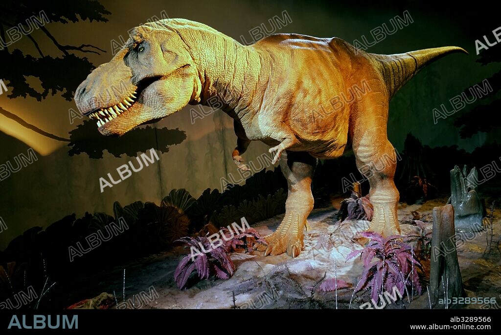 Animatronic Dinosaur (T-Rex). Animatronics refers to the use on robotic devices to emulate lifelike characteristics to an otherwise inanimate object. Dated 21st Century.