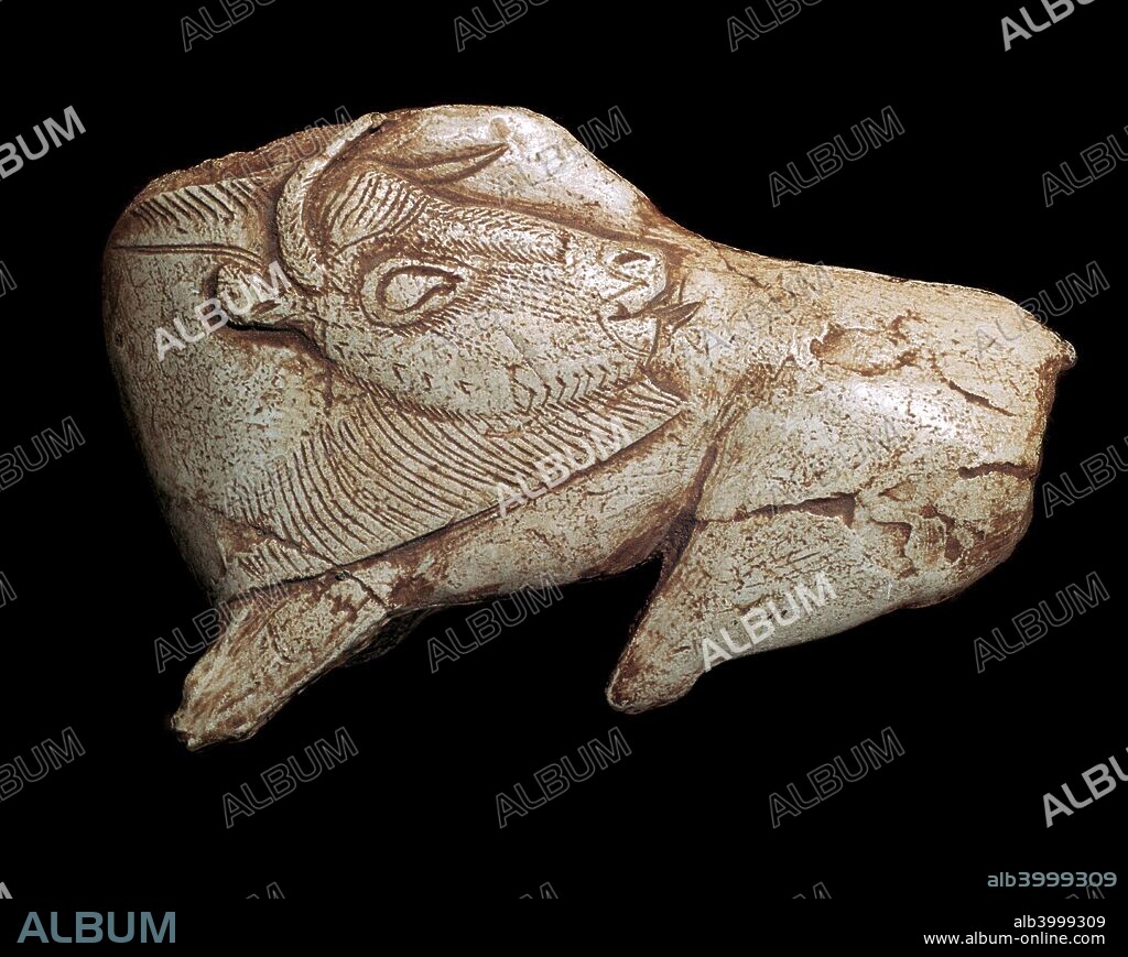 Paleolithic carving of a bison from la Madeleine in France. It was used as a spear-thrower, and is carved in the shape of a bison licking it's side, carved from reindeer antler, the form dictated by the shape of the antler.