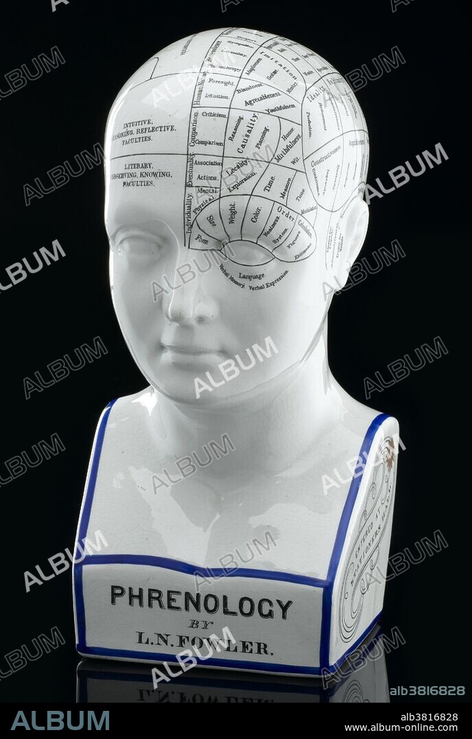 Fowler's phrenological head, Staffordshire, England, c. 1879. Lorenzo Niles Fowler (1811-96) was an American phrenologist who led a revival in phrenology after its decline in the 1850s. In 1860, Fowler emigrated with his family to the United Kingdom and set up the British Phrenological Society, which finally disbanded in 1967. Phrenologists believed that the shape and size of various areas of the brain (and therefore the overlying skull) determined personality. This pseudoscience was developed by German physician Franz Joseph Gall in 1796; the discipline was very popular in the 19th century, especially from about 1810 until 1840. Although now regarded as an obsolete amalgam of primitive neuroanatomy and moral philosophy, phrenological thinking was influential in 19th-century psychiatry and modern neuroscience.