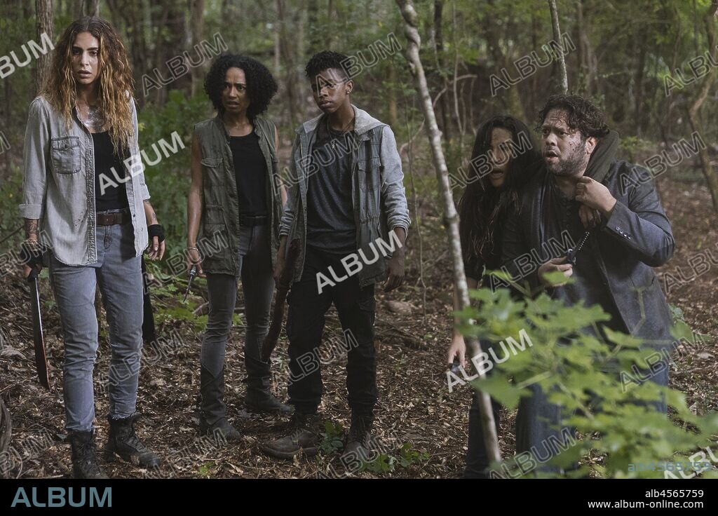 ANGEL THEORY, DAN FOGLER, ELEANOR MATSUURA, LAUREN RIDLOFF y NADIA HILKER en THE WALKING DEAD, 2010, dirigida por FRANK DARABONT. Copyright DARKWOODS PRODUCTIONS. Season 9 Chapter 5.
