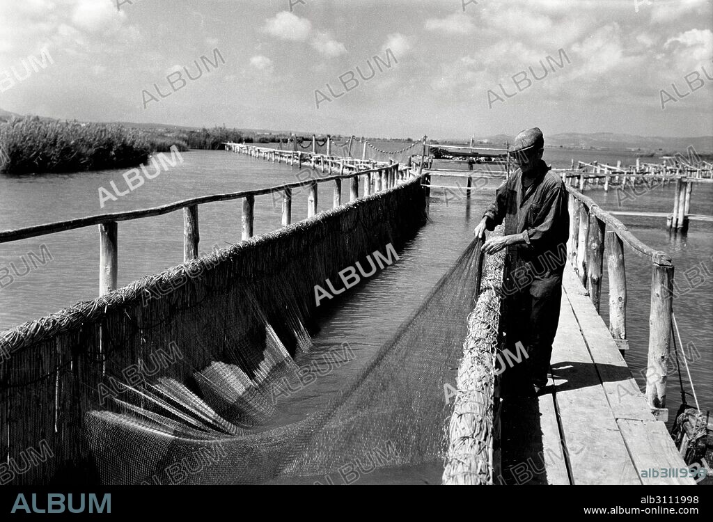 Tarragona. Delta del Ebro. Revisando la pantena. Arte de pesca. Año 1968.