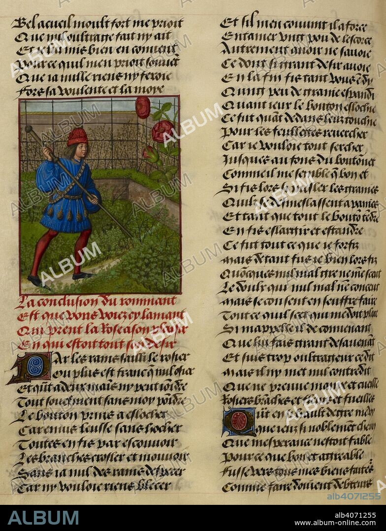GUILLAUME DE LORRIS y JEAN DE MEUN. Text and the miniature of the Lover tending the rose. . Roman de la Rose. Netherlands, S. (Bruges); c. 1490-c. 1500. Source: Harley 4425 f.184v. Language: French.
