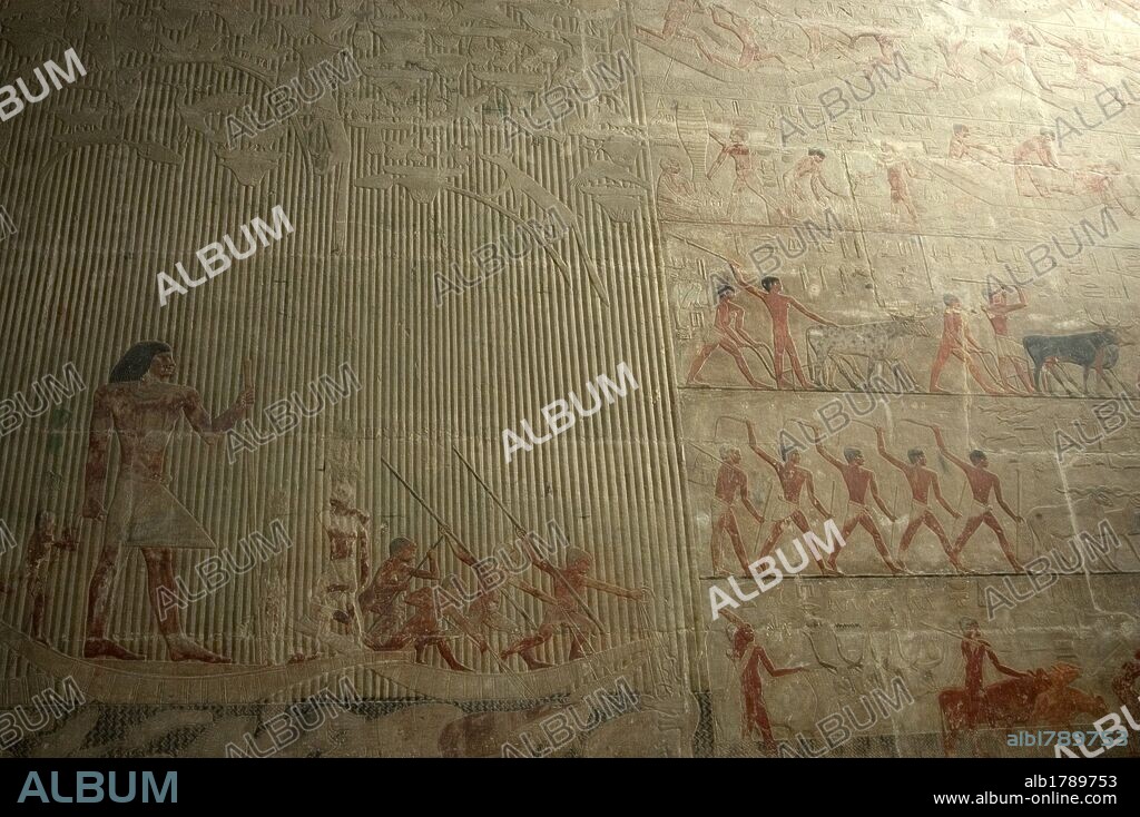 ARTE EGIPCIO. EGIPTO. Relieves policromados del interior de la MASTABA DE TI. Importante personaje de la corte de finales V DINASTIA. IMPERIO ANTIGUO. Escenas de PESCA, RAMADERIA Y AGRICULTURA. NECROPOLIS DE SAKKARA.