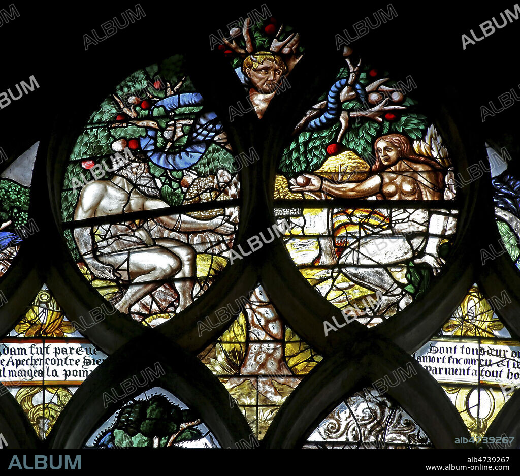 Le peche original : Adam, Eve et le serpent. Vitrail de l'eglise des Andelys datant du 16e (XVIe, 16eme s). Photographie par Painton Cowen. Credit : COWEN/KHARBINE-TAPABOR.