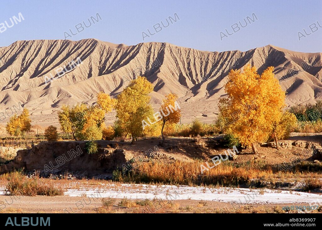 The Kunlun Mountains are one of the longest mountain chains in Asia, extending more than 3,000 km. In the broadest sense, it forms the northern edge of the Tibetan Plateau south of the Tarim Basin and the Gansu Corridor and continues east south of the Wei River to end at the North China Plain.