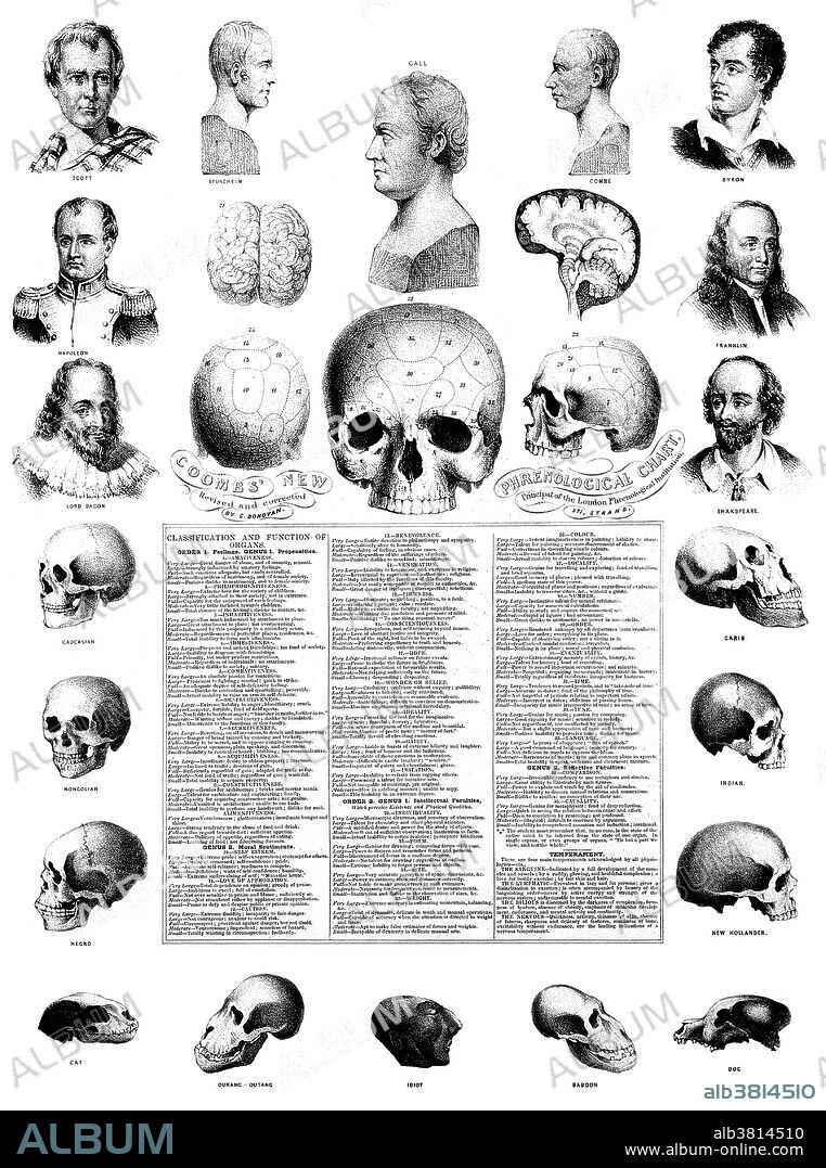 Phrenological chart with portraits of historical figures and illustrations of skulls exhibiting racial characteristics. Phrenology is a pseudoscience primarily focused on measurements of the human skull, based on the concept that the brain is the organ of the mind, and that certain brain areas have localized, specific functions or modules. Although both of those ideas have a basis in reality, phrenology extrapolated beyond empirical knowledge in a way that departed from science. Developed by German physician Franz Joseph Gall in 1796, the discipline was very popular in the 19th century, especially from about 1810 until 1840. Although now regarded as an obsolete amalgamation of primitive neuroanatomy with moral philosophy, phrenological thinking was influential in 19th century psychiatry. Gall's assumption that character, thoughts, and emotions are located in specific parts of the brain is considered an important historical advance toward neuropsychology. Lithograph by G. E. Madeley, authored by C. Donovan, 1850.
