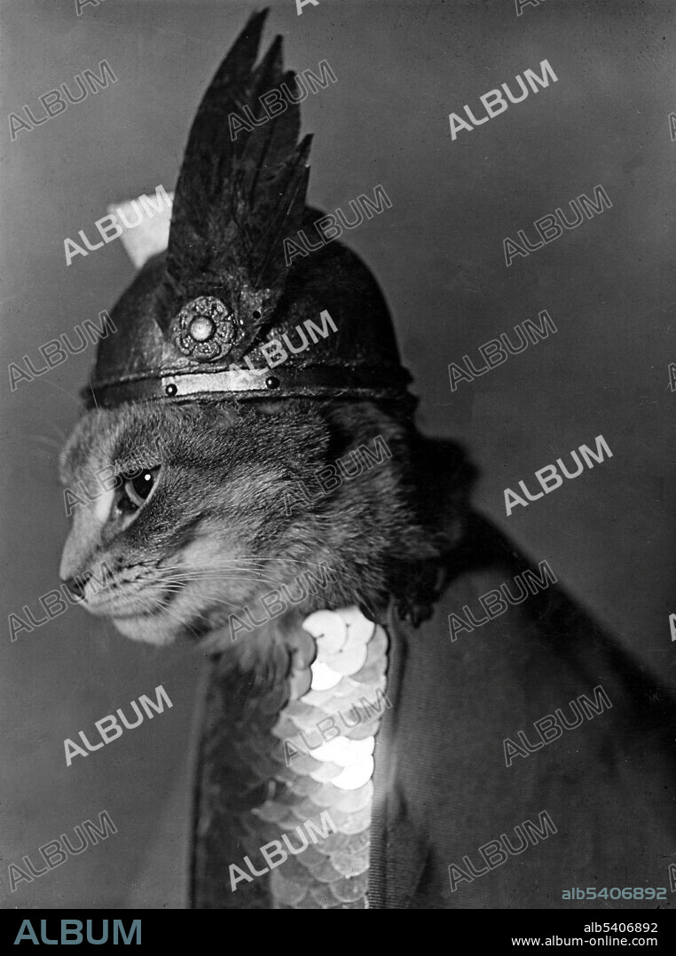 Entitled: Brünnhilde. Cat dressed in Viking helmet and shield. Brunhild is a powerful female figure from Germanic heroic legend. In the Norse tradition, Brunhild is a shieldmaiden or valkyrie. Richard Wagner made Brunhild (as Brünnhilde) an important character in his opera cycle Der Ring des Nibelungen.  Adolph E. Weidhaas, 1936 (cropped and cleaned).