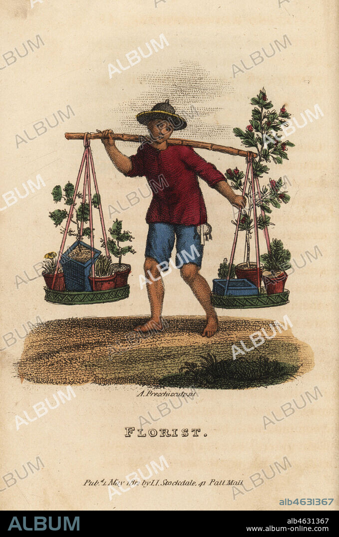 Chinese florist selling miniature trees and bushes, Penjing or Penzai, from a bamboo yoke, Qing Dynasty. Handcoloured copperplate engraving by Andrea Freschi after Antoine Cardon from Henri-Leonard-Jean-Baptiste Bertin and Jean Baptiste Joseph Breton's China, Its Costumes, Arts, Manufactures, etc., Howlett and Brimmer, London, 1824.