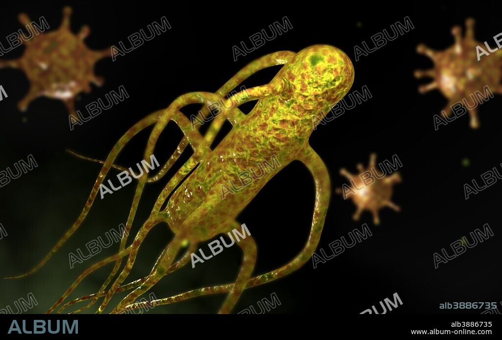 Conceptual image of salmonella typhi causing typhoid.