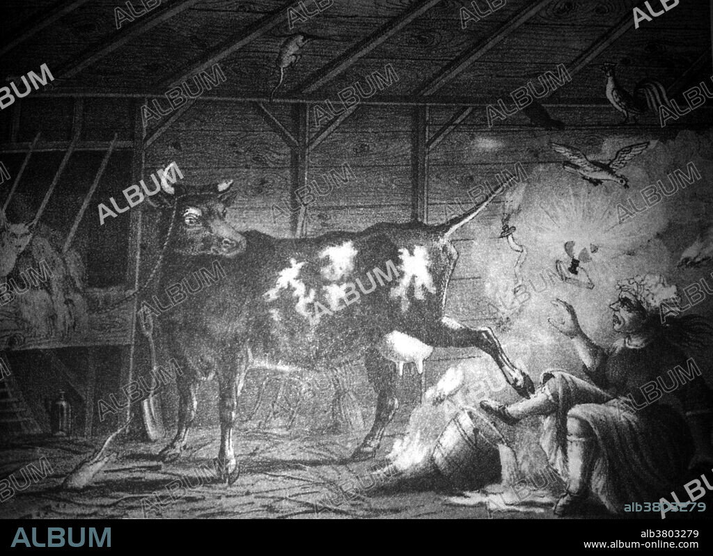 On the evening of October 8, 1871, just after nine o'clock, a fire broke out in the barn behind the home of Patrick and Catherine O'Leary at 13 DeKoven Street. How the fire started is still unknown today, but an O'Leary cow often gets the credit. Firefighters were initially sent to the wrong neighborhood. When they finally arrived at the O'Leary's, they found the fire raging out of control. The blaze quickly spread, burning for two days, and only dying out once rain began to fall. Chicago was devastated. At least 300 people were dead,100,000 people were homeless, and $200 million worth of property was destroyed. The entire central business district of Chicago was leveled. The fire was one of the most spectacular events of the nineteenth century, and it is recognized as a major milestone in the city's history. Though the fire was one of the largest U.S. disasters of the 19th century, the rebuilding that began almost immediately spurred Chicago's development into one of the most populous and economically important American cities. Illustration originally captioned: Before the flames died, the Chicago Evening Journal of October 9 reported that a cow Mrs. O'Leary had been milking kicked over a kerosene lamp, igniting some hay. In reality, the O'Leary's were never accused of starting the fire. The cause of the fire is still a matter of debate.