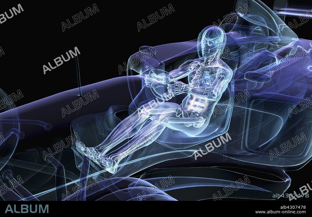 Anatomical man driving car.