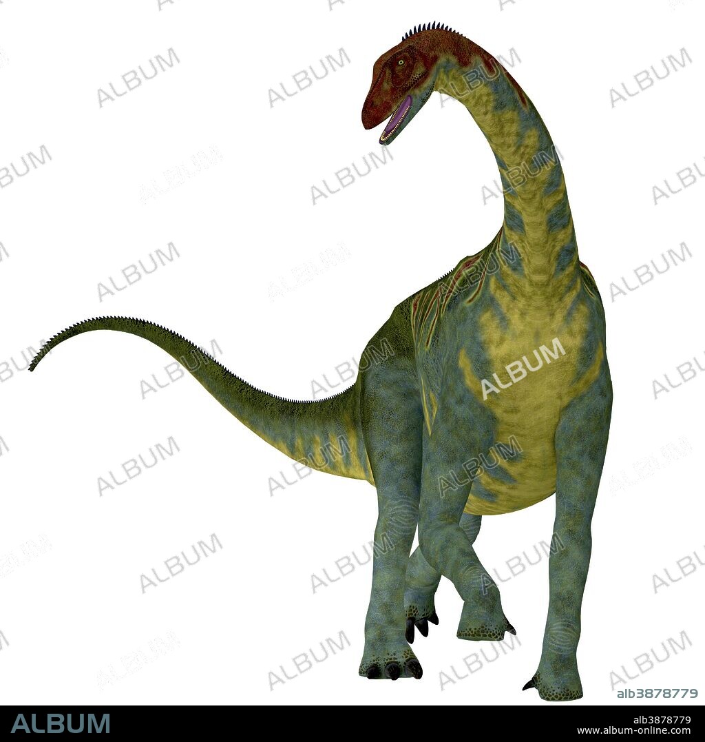 Jobaria dinosaur, front view. Jobaria was a herbivorous sauropod dinosaur that lived in the Jurassic Period of the Sahara Desert in Africa.