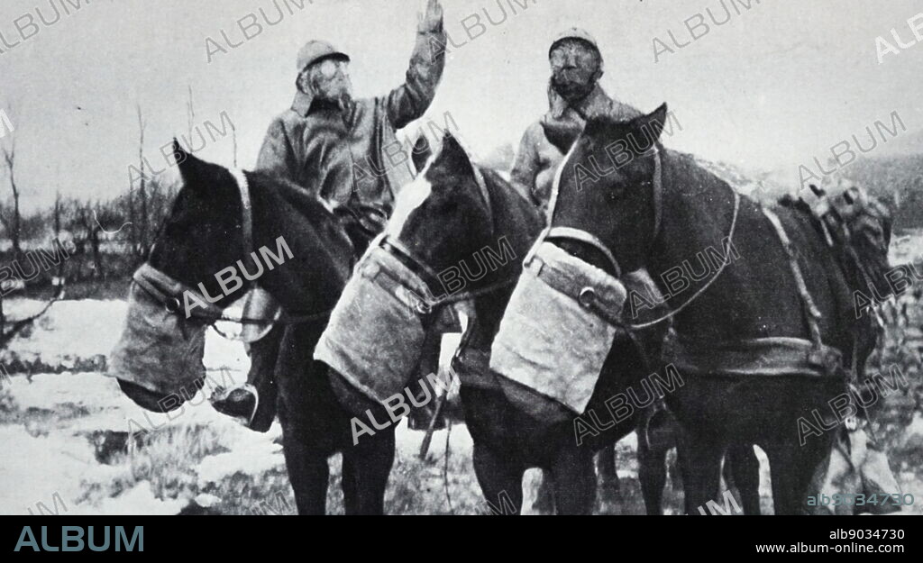 Photograph of soldiers and their horses wearing gas masks during the First World War.
