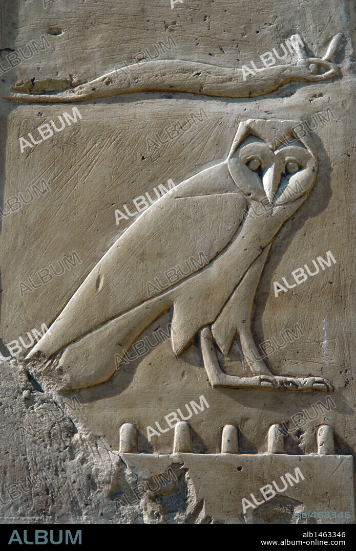 Hieroglyphic. Relief depicting consonant sounds. The "f" (horned viper) and "m" (owl). Temple of Hatshepsut. Egypt.