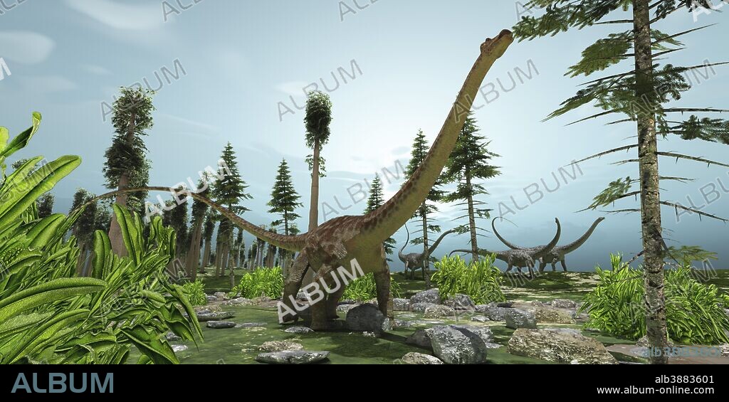 A herd of Diplodocus dinosaurs munch their way along their migration route.