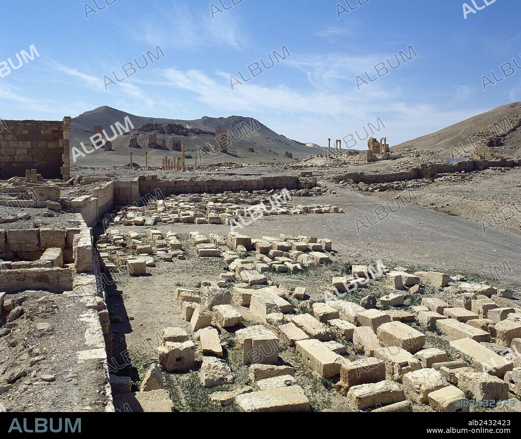 Syria, Palmyra. Ruins of the Roman city. In the background, Valley of the Tombs. Oasis of Tadmor. Photo taken before the Syrian civil War.