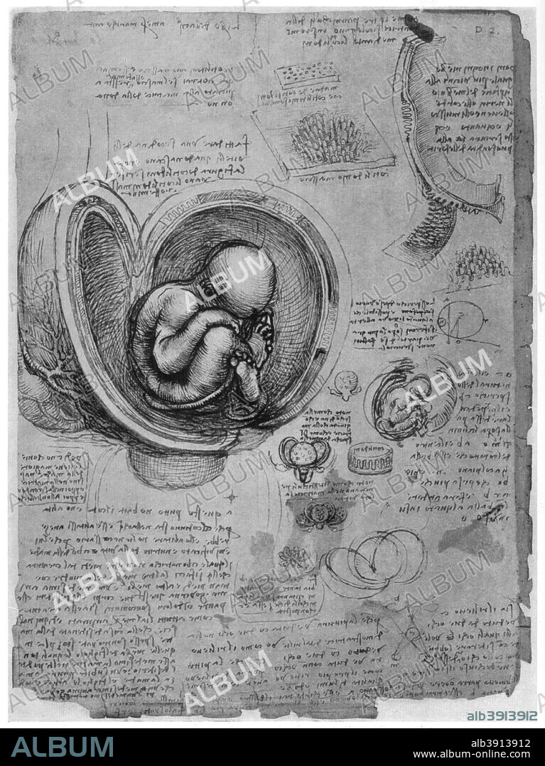 Anatomical sketch of a human foetus in the womb, c1510 (1954). Found in the collection of the Royal Library, Windsor Castle, Windsor. A print from Leonardo da Vinci by Ludwig H Heydenreich. (London, 1954).