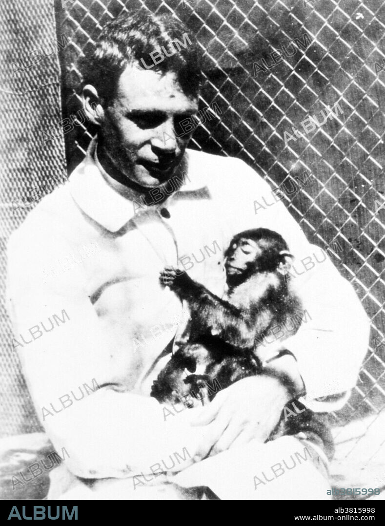 Ricketts, wearing lab coat, holding a chimpanzee or monkey. No location or date given. Howard Taylor Ricketts (1871-1910) was an American bacteriologist and  pathologist after whom the Rickettsiaceae family and the Rickettsiales are named. Ricketts undertook research at Northwestern University on blastomycosis. He later worked in the Bitterroot Valley of Montana and at the University of Chicago on Rocky Mountain spotted fever. While in Montana, Ricketts and his assistant discovered that the agent that carried the bacillus for the latter was a tick, the Rocky Mountain wood tick. Ricketts was devoted to his research and, on several occasions, injected himself with a pathogen to measure its effects. The pathogen causing Rocky Mountain spotted fever, Rickettsia rickettsii was named after him. n 1909, Ricketts became interested in a strand of typhus known as tabardillo, due to a major outbreak in Mexico City, and the apparent similarity of the disease to spotted fever. Days after isolating the organism that he believed caused typhus, he himself died of the disease. He was 39 years old.