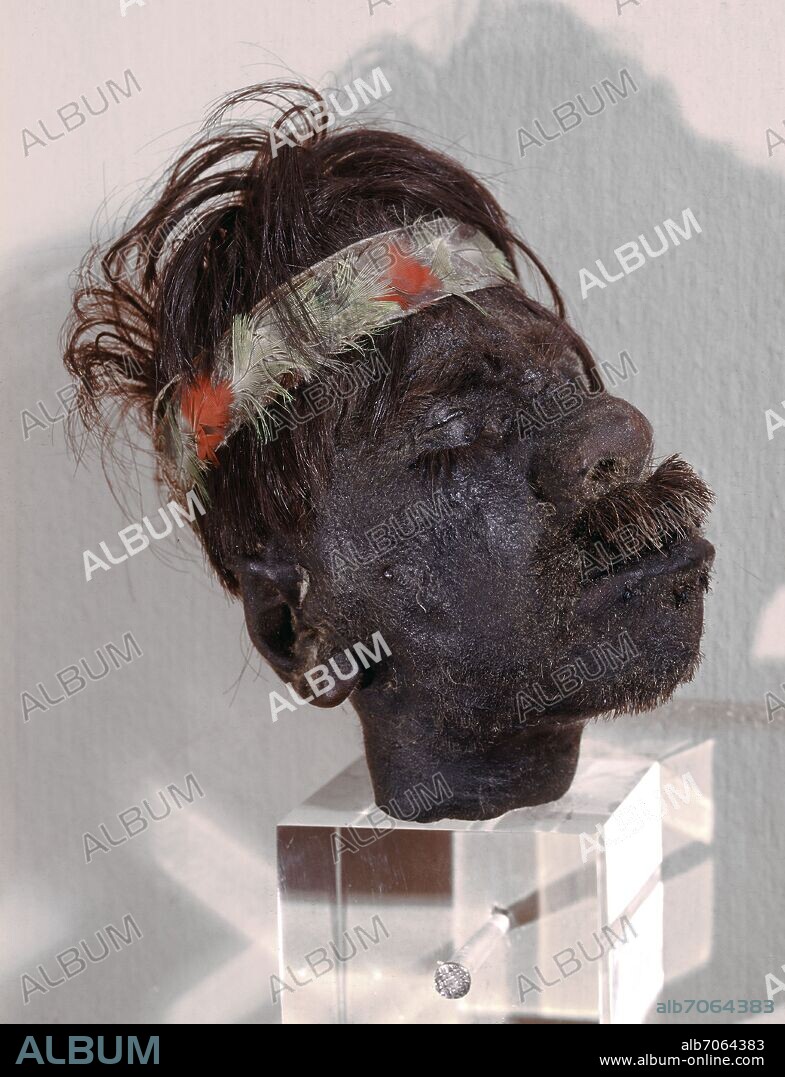 CABEZA HUMANA REDUCIDA DE JIBARO.
