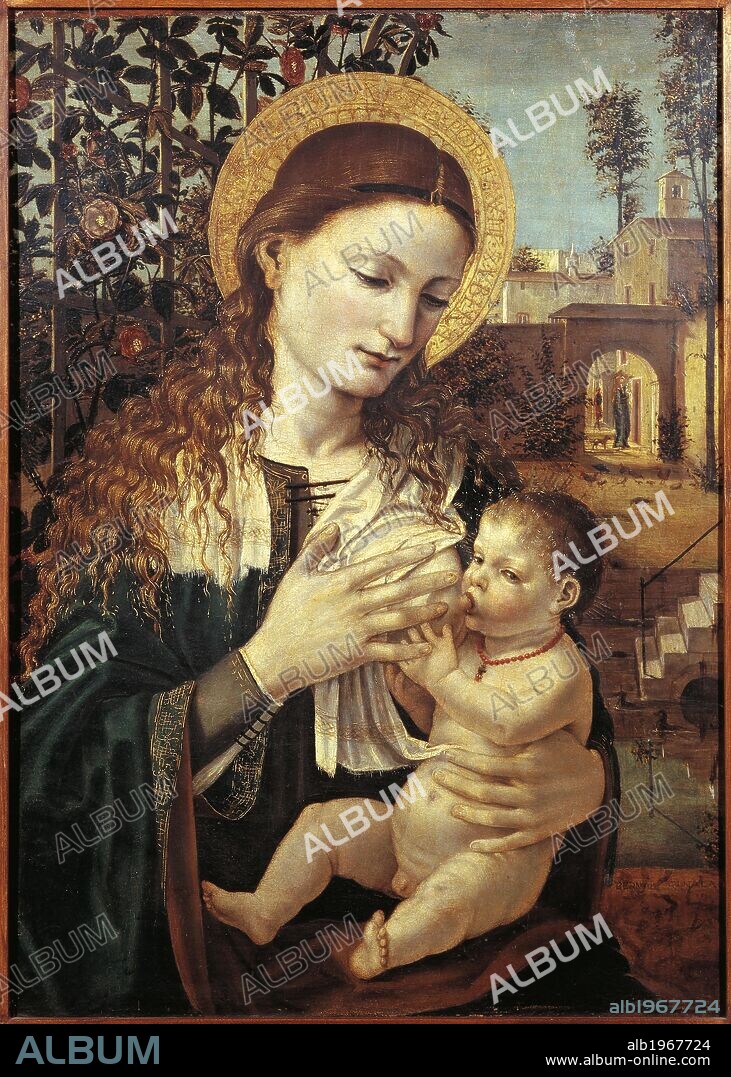 Madonna breastfeeding the Baby Jesus, ca 1485, by Ambrose Bergognone (ca 1460-1523). Oil on panel, 61x44 cm.