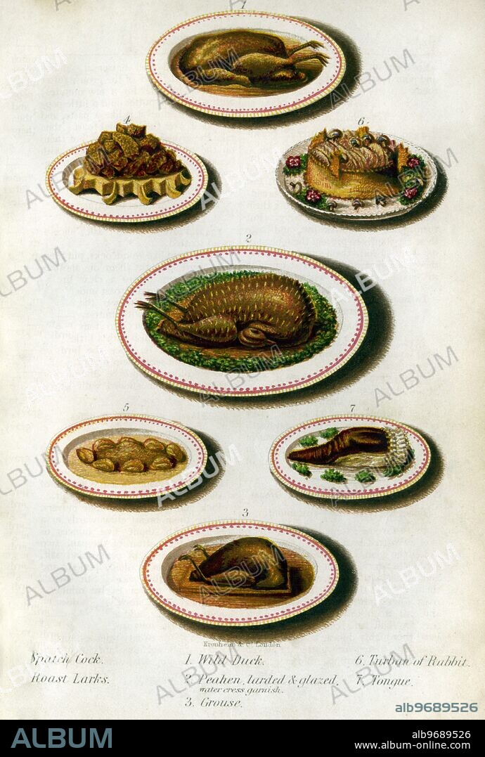 Kronheim & Co. London Various Dishes:. 1. Wild duck. 2. Peahen, larded & glazed, water cress garnished. 3. Grouse. 4. Spatch Cock. 5. Roat Larks. 6. Turban of Rabbit. 7. Tongue.