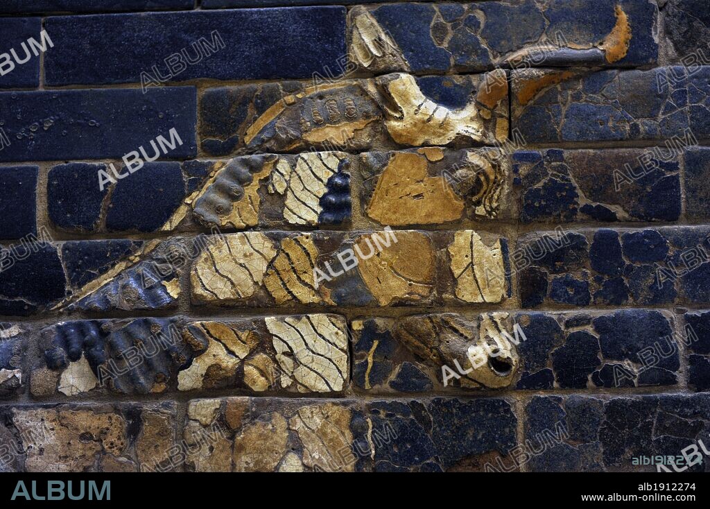ARTE MESOPOTAMICO. NEOBABILONICO. PUERTA DE ISHTAR DE BABILONIA. (s. VI a. C.). Originalmente era una de las ocho puertas monumentales de la muralla interior de Babilonia. Fue construida en el año 575 a. C. durante el reinado de NABUCODONOSOR II (604-562 a. C.) con ladrillos de adobe de color azul. Reconstruida en 1930. Detalle de un TORO. Museo Pergamo (Isla de los Museos). Berlín. Alemania.