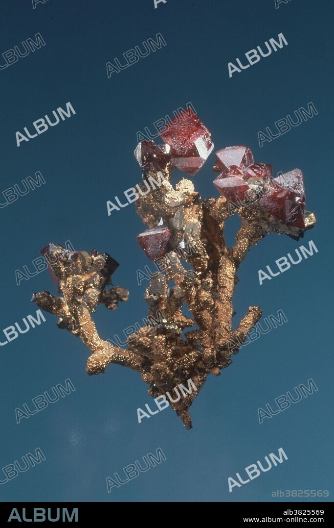 Cuprite crystals on copper from the Tsumeb Mine in Namibia. Dimensions: 2 x 1.5 x 1.5 cm.
