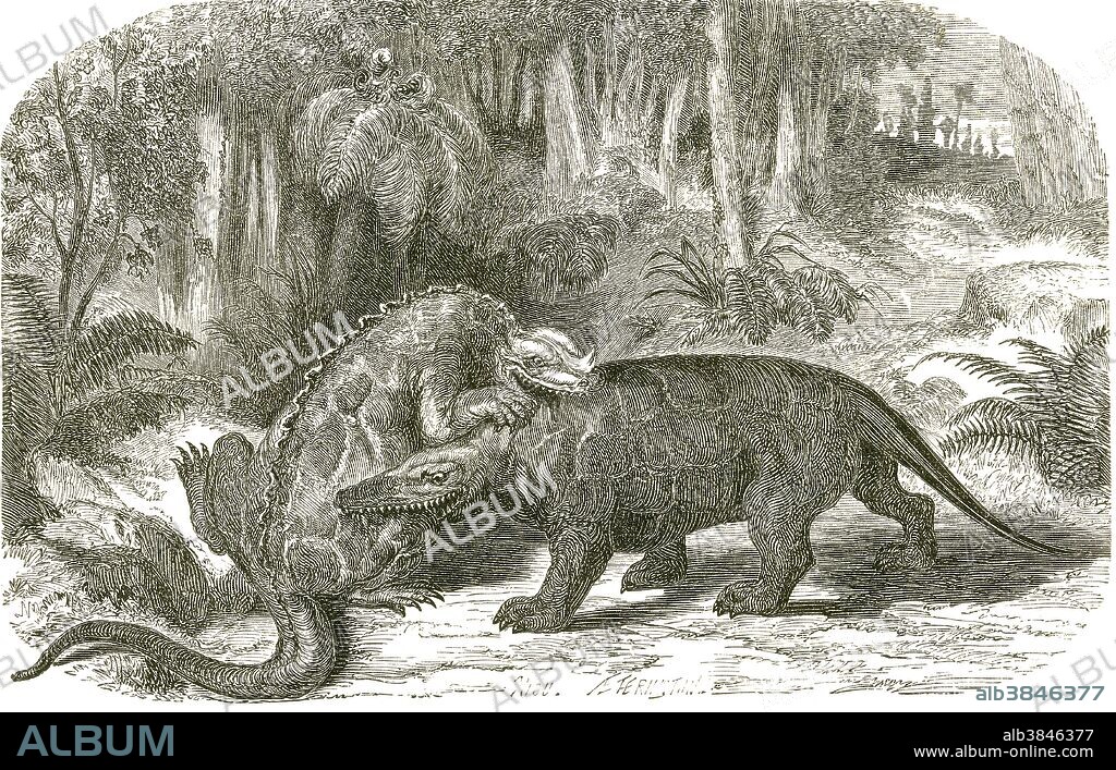 Iguanodon and Megalosaurus struggle for mastery in a Cretaceous Period forest, from Louis Figuier's The World Before the Deluge, 1867 American edition. Iguanodon and Megalosaurus were the first two dinosaurs to be named and described. Here Iguanodon has a spike on its nose; later it was discovered that the "spike" was actually from its thumb. Megalosaurus is now know to have been bipedal, and to have lived during the Middle Jurassic.
