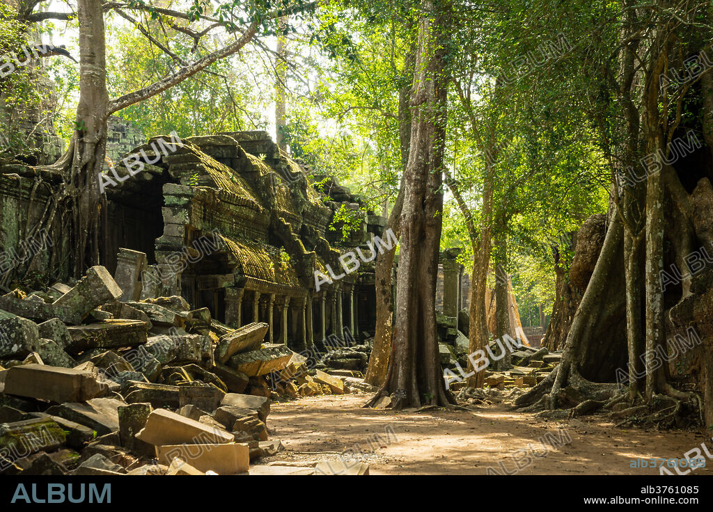 The jungle hides the ancient ruins of Ta Prohm in the Angkor National Park, Angkor, UNESCO World Heritage Site, Siem Reap, Cambodia, Indochina, Southeast, Asia, Asia.