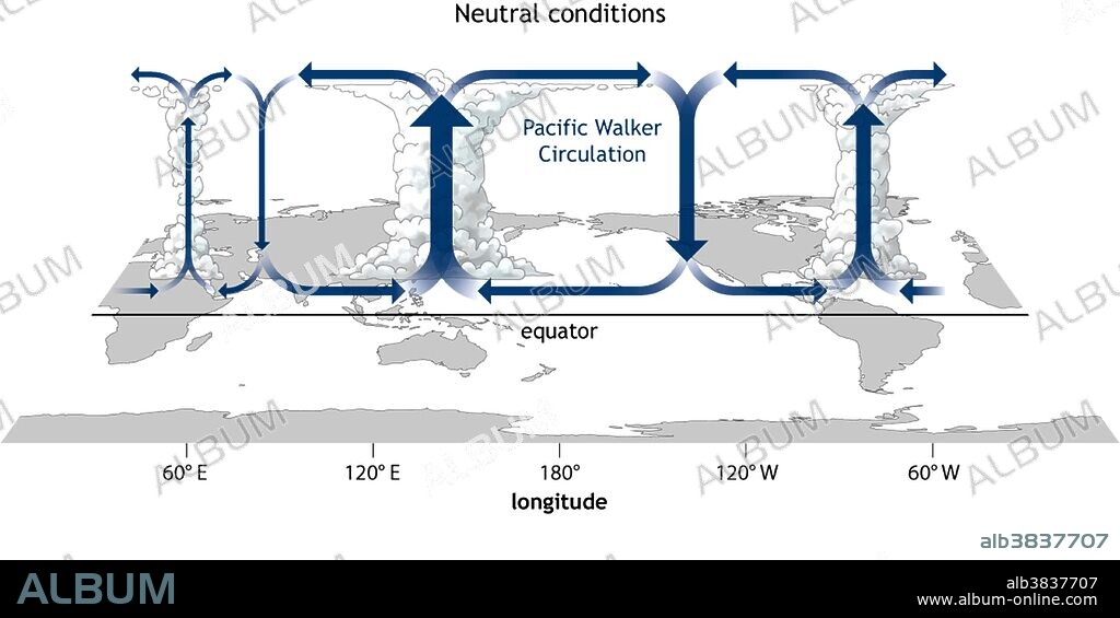 Generalized Walker Circulation (December-February) during ENSO-neutral conditions. Convection associated with rising branches of the Walker Circulation is found over the Maritime continent, northern South America, and eastern Africa. The Walker circulation, also known as the Walker cell, is a conceptual model of the air flow in the tropics in the lower atmosphere (troposphere). According to this model, parcels of air follow a closed circulation in the zonal and vertical directions. This circulation, which is roughly consistent with observations, is caused by differences in heat distribution between ocean and land. It was discovered by Gilbert Walker.