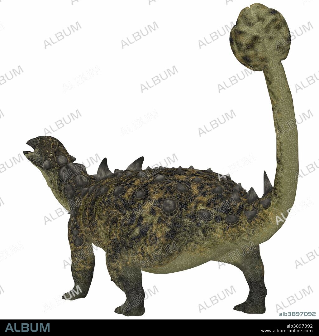 Euoplocephalus tutus, an herbivorous armored dinosaur that used its long tail and club for defense.