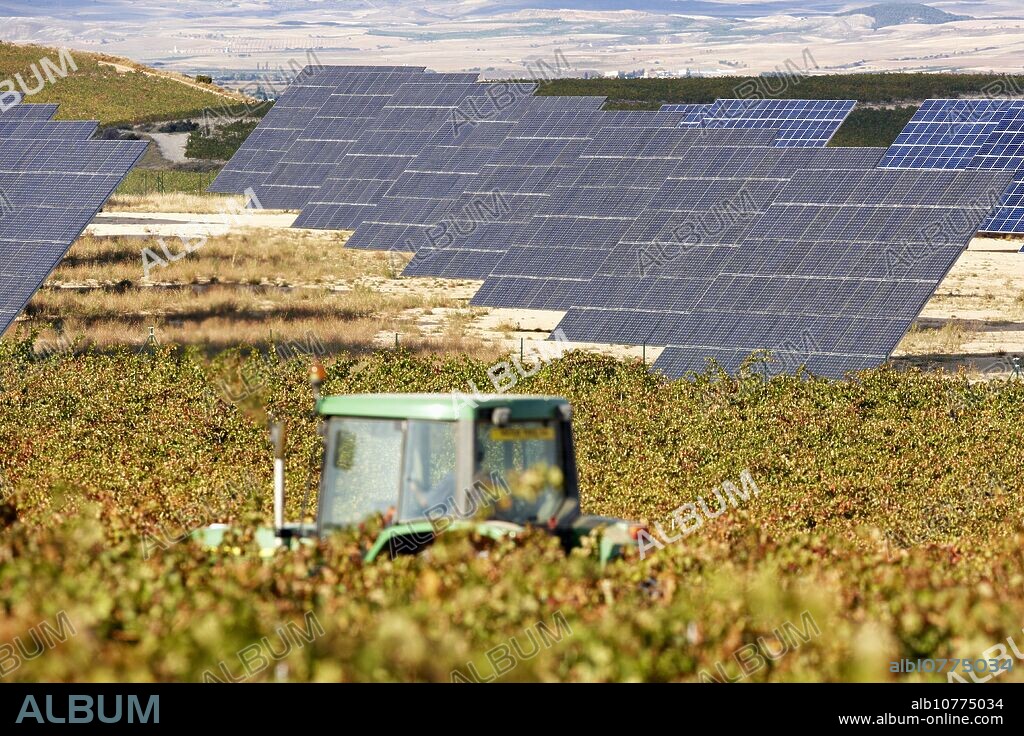 Vineyards and solar panels, photovoltaics, solar power plant, Milagro, Navarre, Spain.