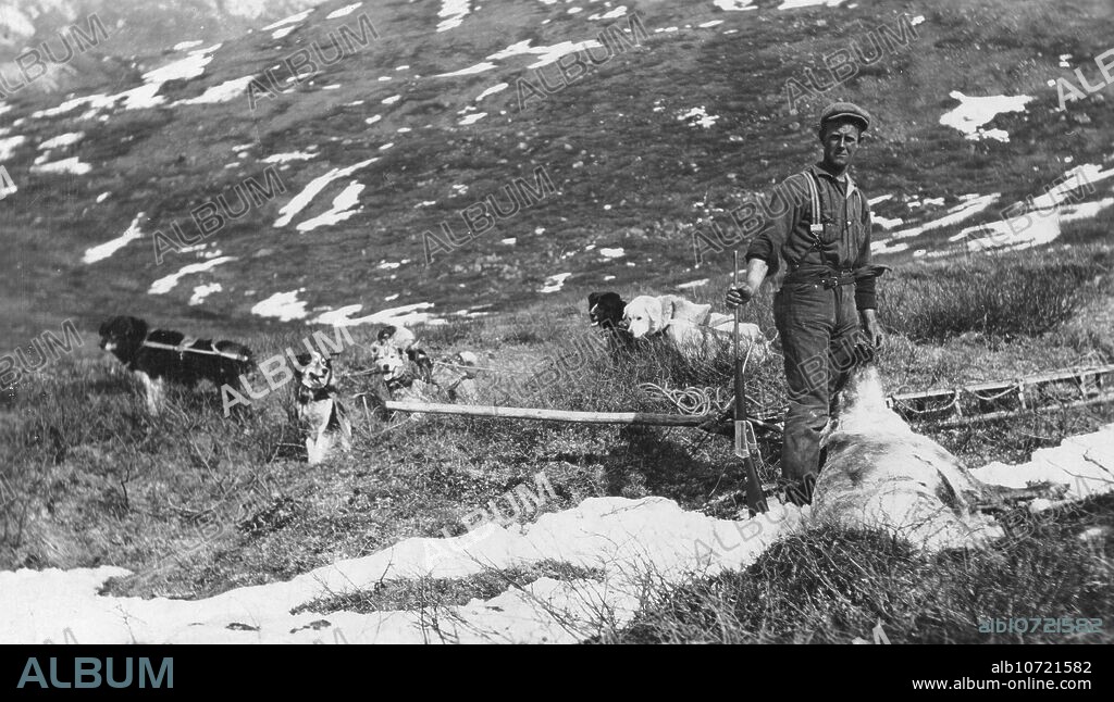 BELMORE BROWNE. Caribou shot on the north side of Mt. McKinley and dog team ready to haul the meat to camp, 1912.