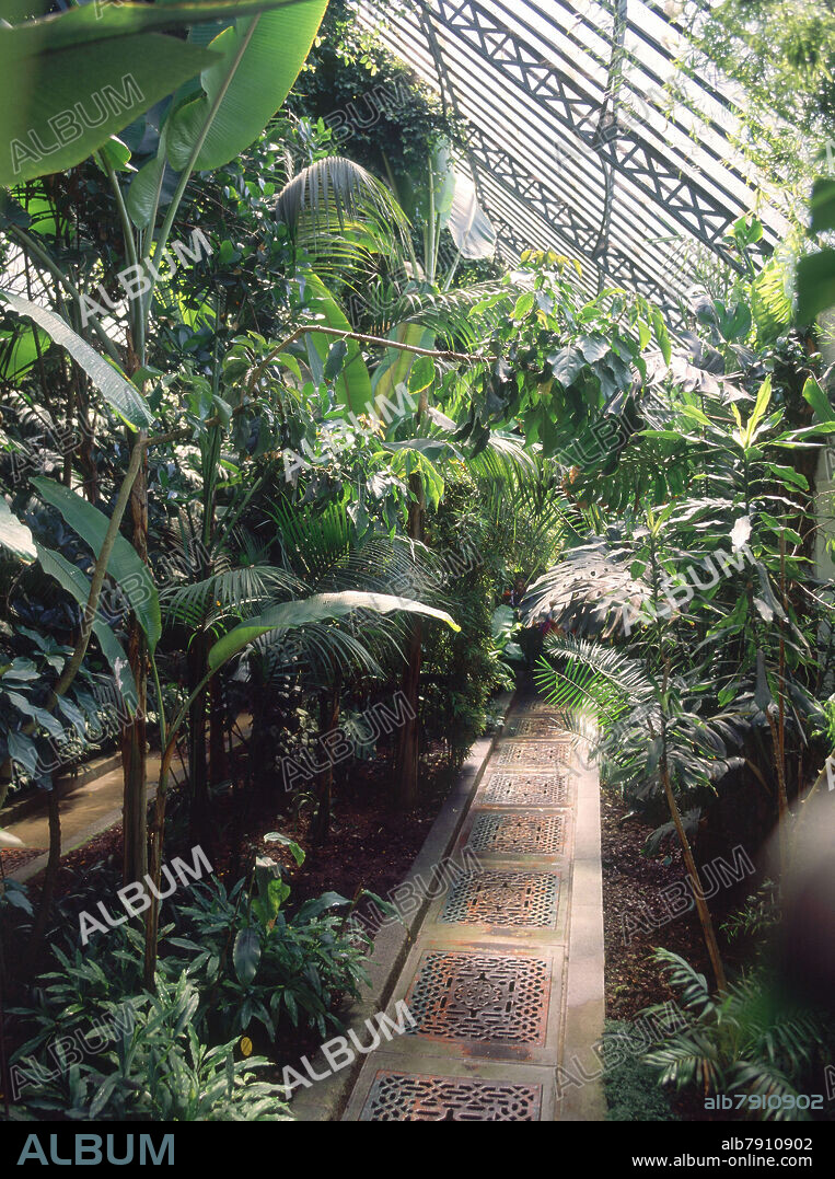 INTERIOR DEL INVERNADERO DE AMBIENTE TROPICAL ESTUFA CREADA EN EL S XIX.